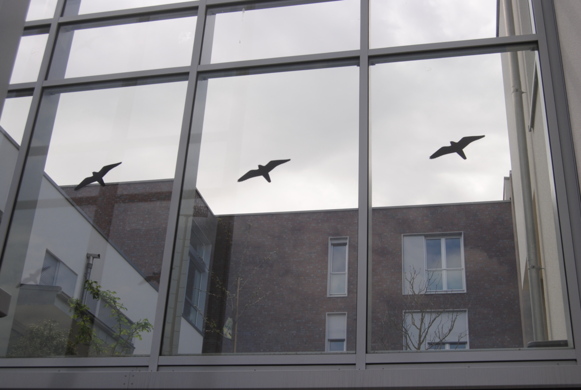 Hinteransicht Haus (2)